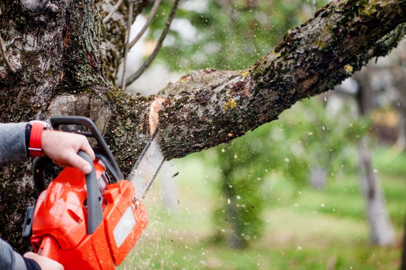 Core Cutting Services